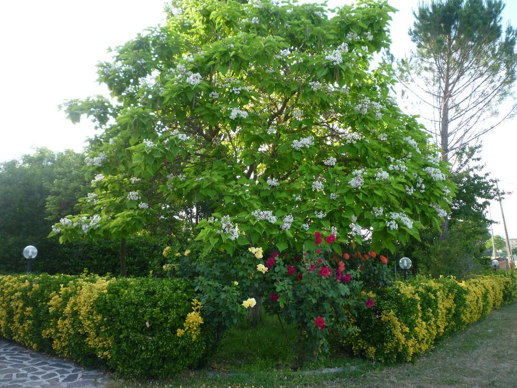Tadinum Romana 瓜尔多塔迪诺 外观 照片
