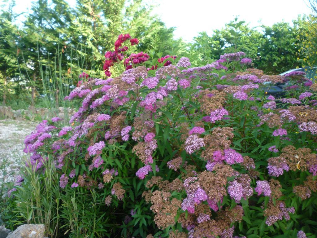 Tadinum Romana 瓜尔多塔迪诺 外观 照片